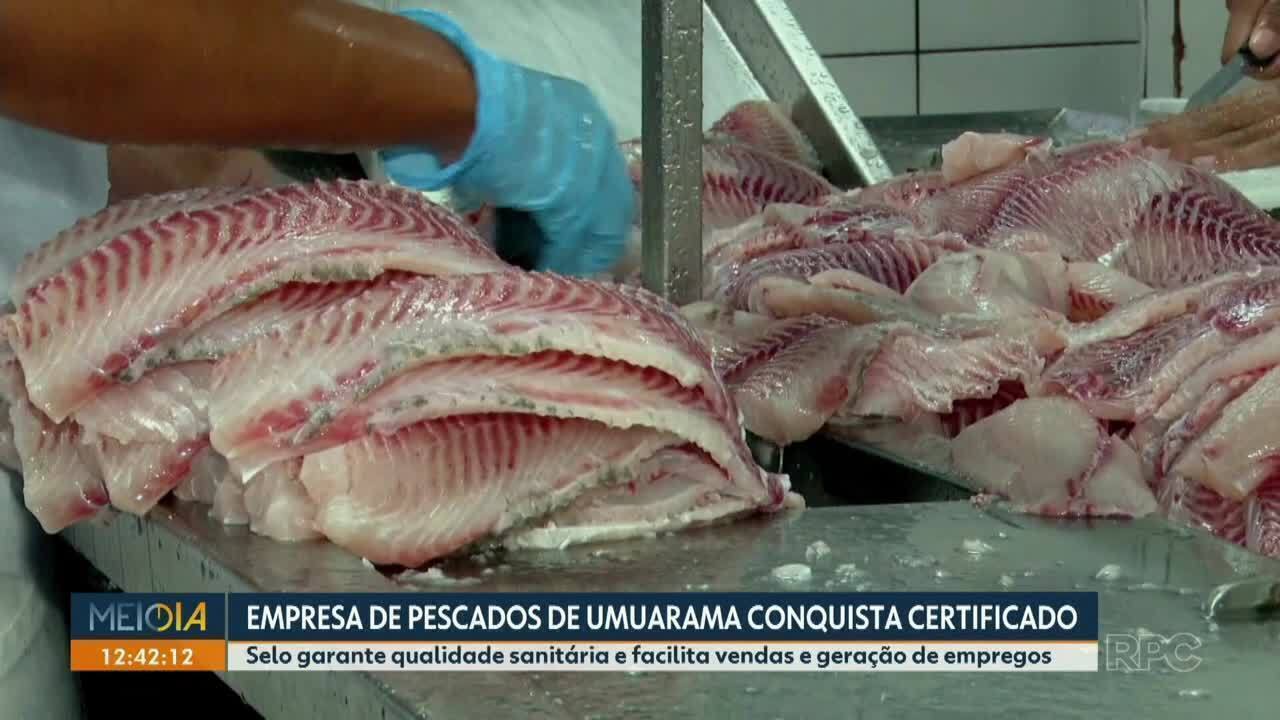 Reportagem Meio Dia Paraná sobre a Pescados Talismã